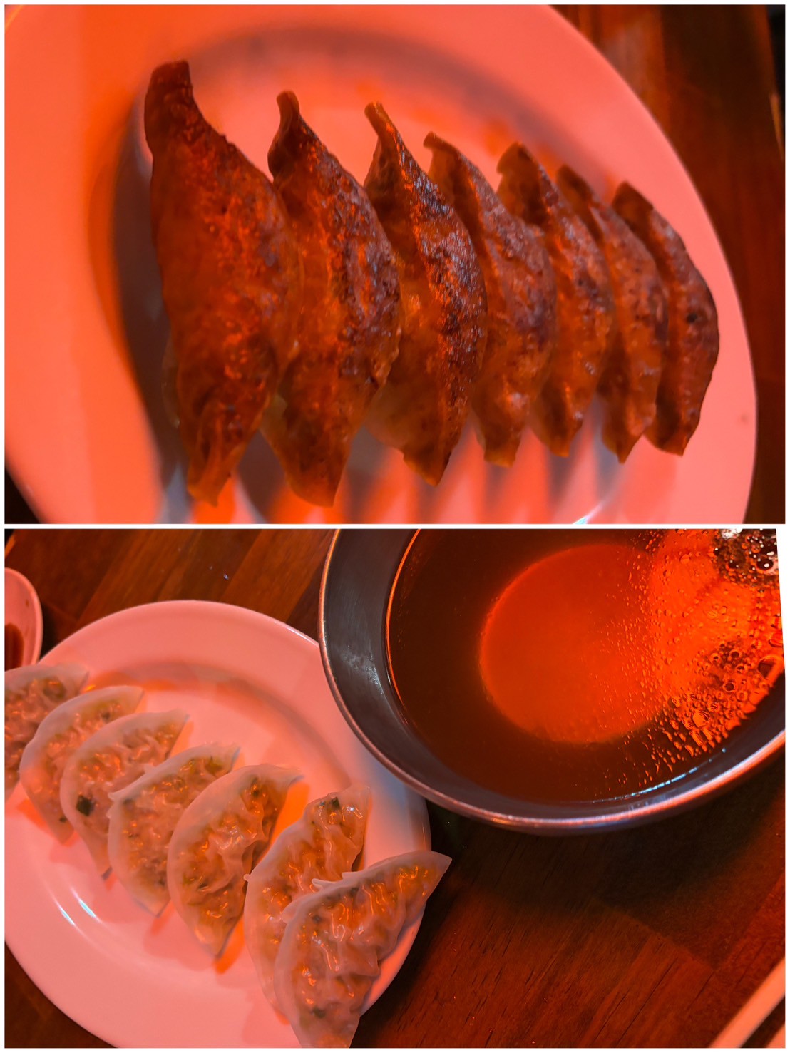 高知旅行へ行ってきました🐟